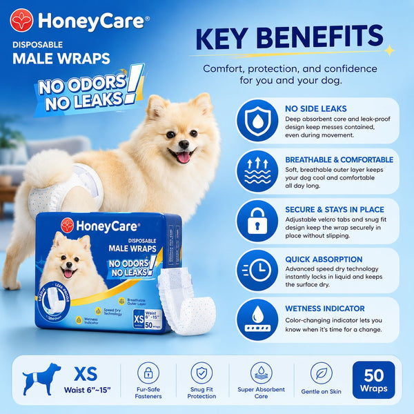 HONEYCARE Popok Anjing Jantan Pet Disposable Male Wrap XS 50pcs Dog Sanitation NoBrand 