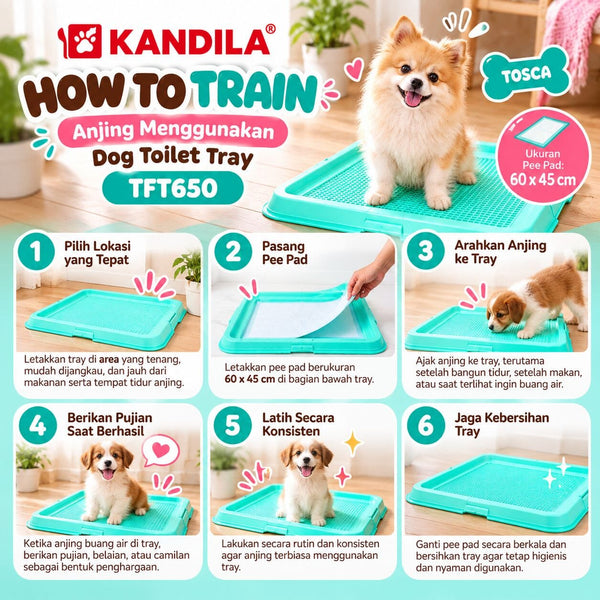KANDILA Dog Toilet Tray TFT650 Tosca 60x45cm Dog Sanitation NoBrand 