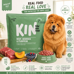 KINDOGFOOD Makanan Anjing RAW Beef Berries and Pumpkin 500gr no type Tidak ada merek 