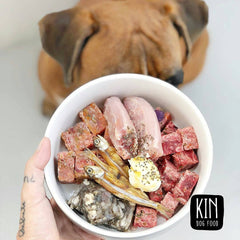 KINDOGFOOD Makanan Anjing RAW Lamb, Rabbit and Spinach 500GR no type Tidak ada merek 
