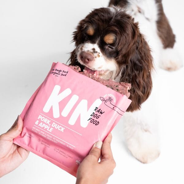 KINDOGFOOD Makanan Anjing RAW Pork, Duck and Apple 500GR no type Tidak ada merek 