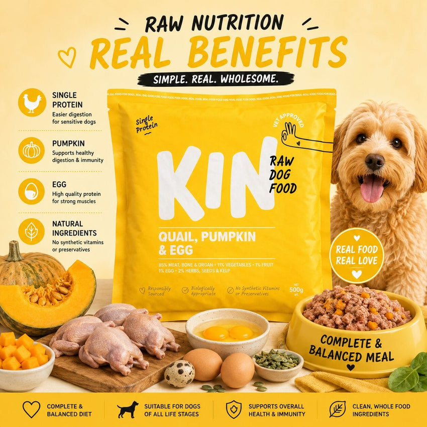 KINDOGFOOD Makanan Anjing RAW Quails, Pumpkin and Eggs 500GR no type Tidak ada merek 