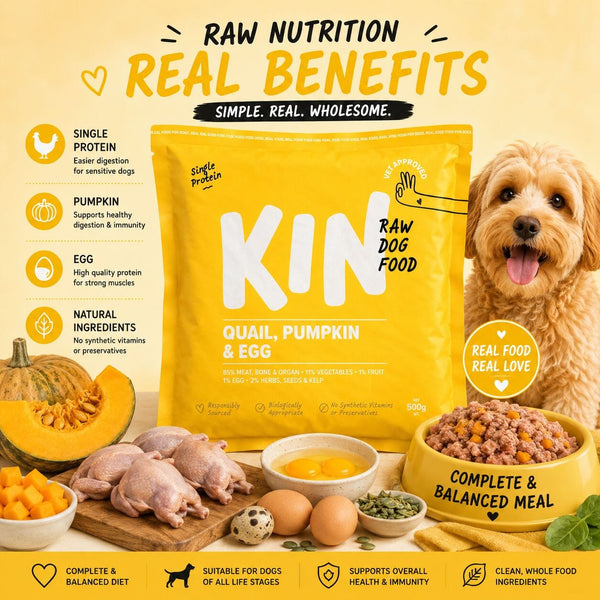 KINDOGFOOD Makanan Anjing RAW Quails, Pumpkin and Eggs 500GR no type Tidak ada merek 