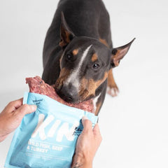 KINDOGFOOD Snack Anjing RAW Wild Fish, Beef and Turkey 500GR no type Tidak ada merek 