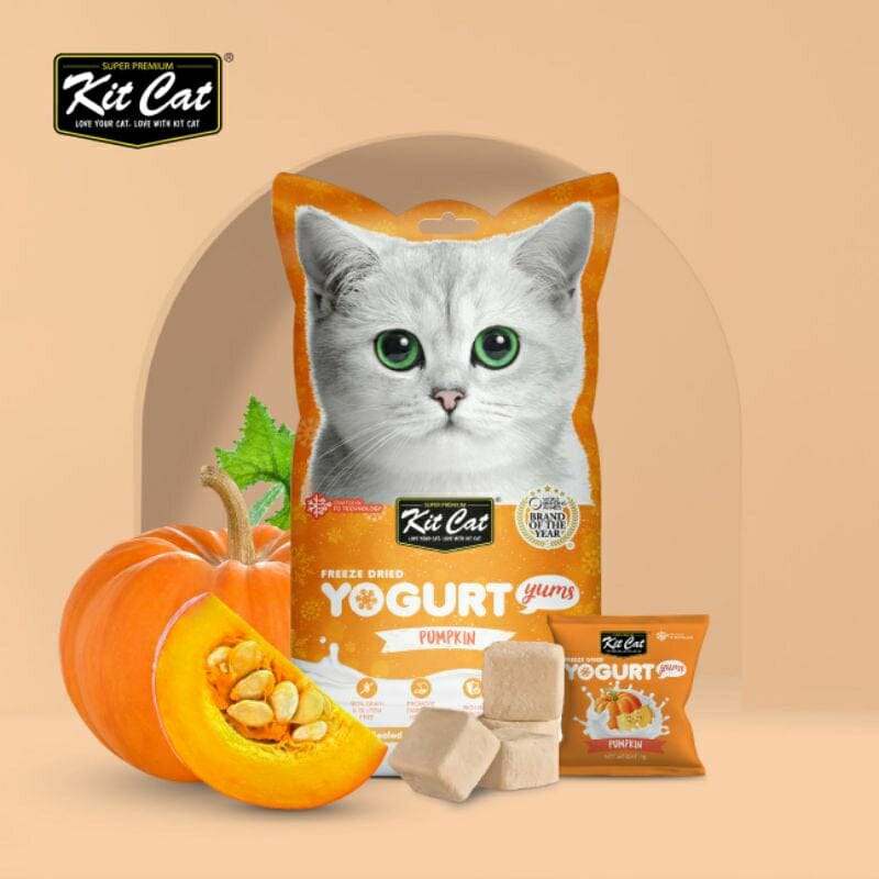 KITCAT Snack Kucing Freeze Dried Yogurt Yums Pumpkin 10g no type Tidak ada merek 