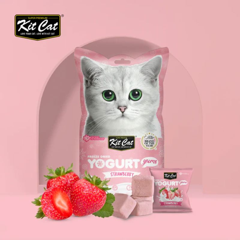 KITCAT Snack Kucing Freeze Dried Yogurt Yums Strawberry 10g no type Tidak ada merek 