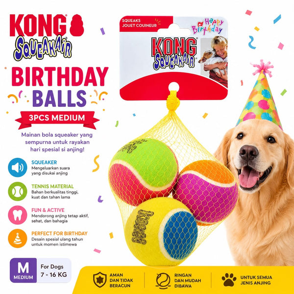 KONG AST2Y Mainan Anjing SqueakAir Birthday Balls 3pcs Medium no type Tidak ada merek 