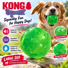 KONG PSB1 Mainan Anjing Squeezz BALL Large Green no type Tidak ada merek 