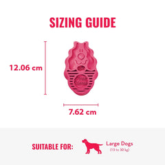 KONG ZG1 Sikat Mandi ZOOMGROOM Raspberry Large no type Tidak ada merek 