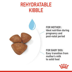 Makanan Anakan Anjing ROYAL CANIN Mini Starter Mother and Baby Dog 1kg no type Tidak ada merek 