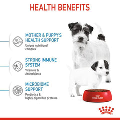 Makanan Anakan Anjing ROYAL CANIN Mini Starter Mother and Baby Dog 1kg no type Tidak ada merek 