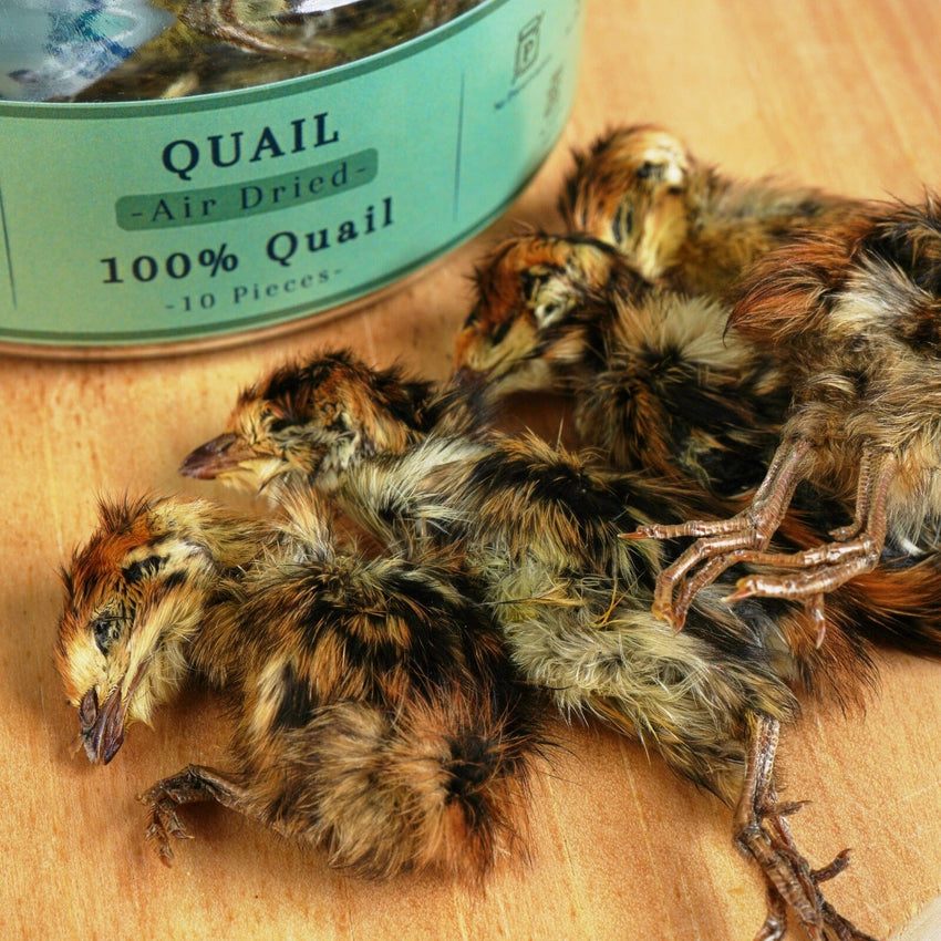 MALDENTREATS Snack Anjing Dehydrated Quail 10 pcs Jar no type Tidak ada merek 