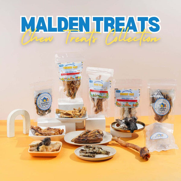 MALDENTREATS Snack Anjing Dehydrated Quails 5pcs no type Tidak ada merek 