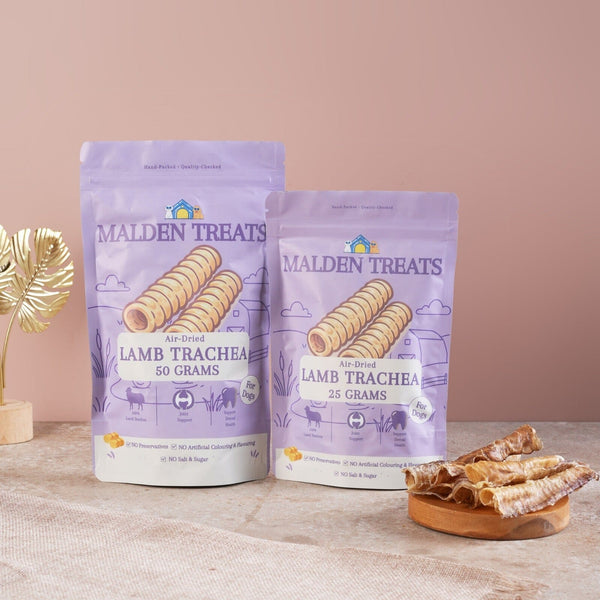 MALDENTREATS Snack Anjing Lamb Trachea 25gr Dog Snack Tidak ada merek 