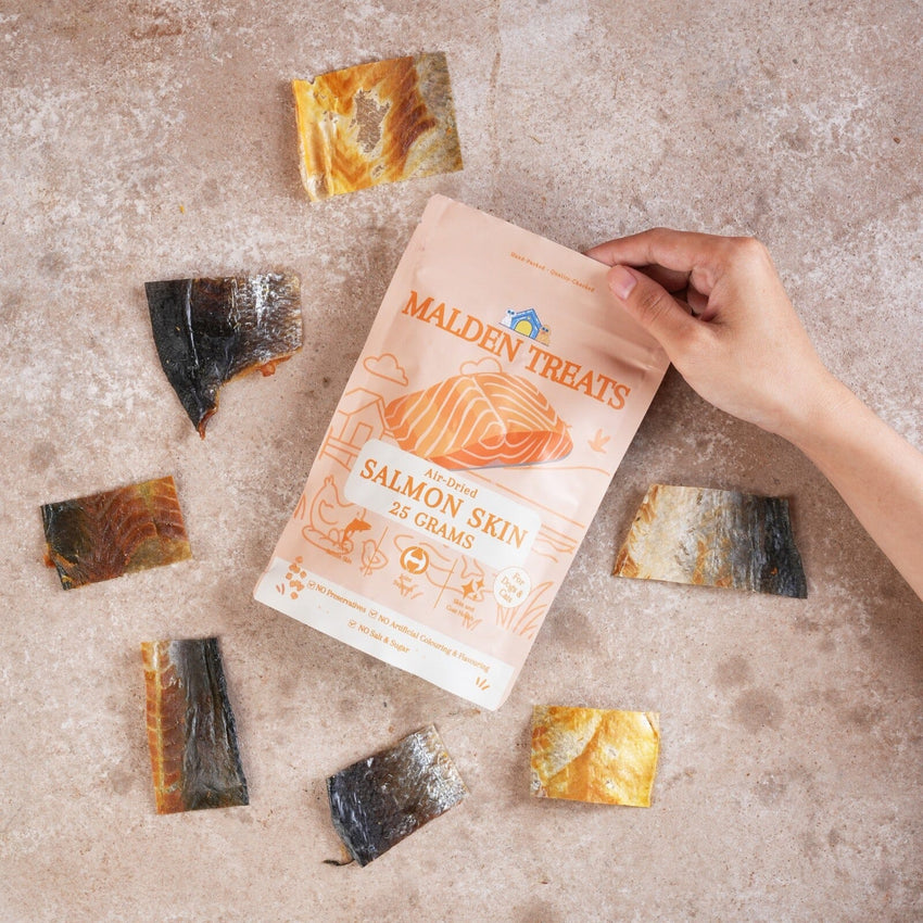 MALDENTREATS Snack Anjing Salmon Skin 25gr Dog Snack Tidak ada merek 