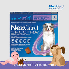 NEXGARD Spectra Penghilang Kutu Cacing Anjing Purple 15.1 to 30kg 1pcs Grooming Medicated Care Pet Republic Indonesia 
