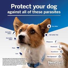 NEXGARD Spectra Penghilang Kutu Cacing Anjing Purple 15.1 to 30kg 1pcs Grooming Medicated Care Tidak ada merek 