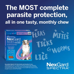 NEXGARD Spectra Penghilang Kutu Cacing Anjing Purple 15.1 to 30kg 1pcs Grooming Medicated Care Tidak ada merek 