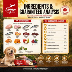 ORIJEN Makanan Anjing Puppy Grain Free 340gr Dog Food Dry Tidak ada merek 