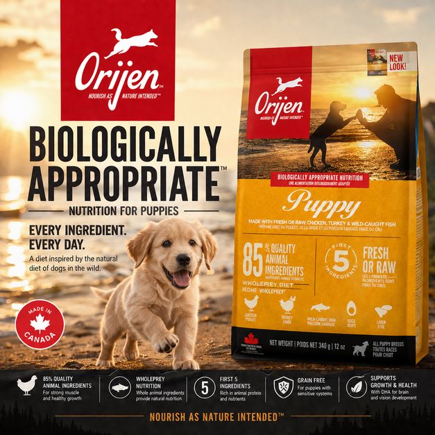 ORIJEN Makanan Anjing Puppy Grain Free 340gr Dog Food Dry Tidak ada merek 