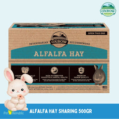 OXBOW Makanan Anakan Kelinci Alfalfa Hay Sharing 500gr Small Animal Food Pet Republic Indonesia 