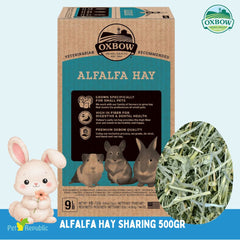 OXBOW Makanan Anakan Kelinci Alfalfa Hay Sharing 500gr Small Animal Food Pet Republic Indonesia 
