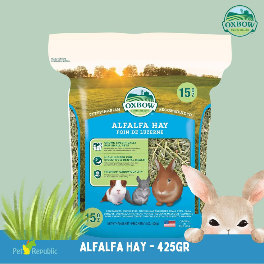 OXBOW Rumput Anakan ALFALFA Hay 425gram no type Tidak ada merek 