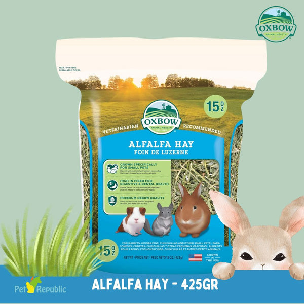 OXBOW Rumput Anakan ALFALFA Hay 425gram no type Tidak ada merek 