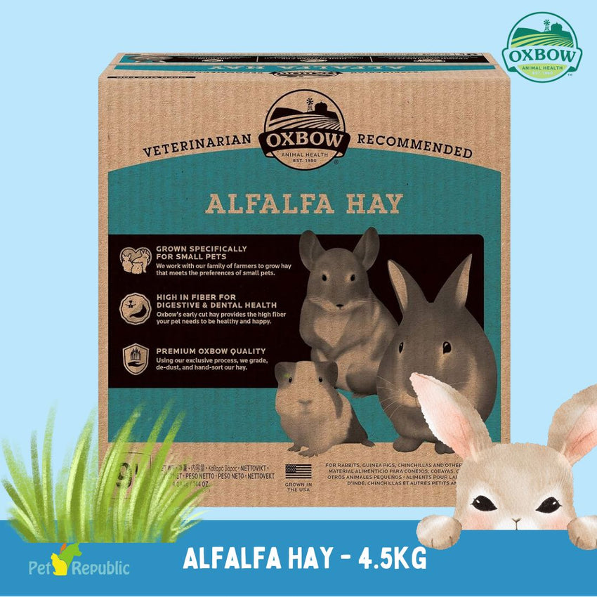 OXBOW Rumput Anakan Alfalfa Hay 4.5kg no type Tidak ada merek 