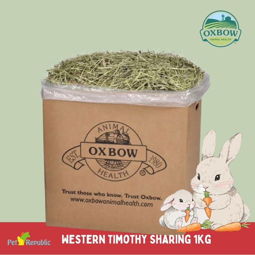 OXBOW Rumput Kelinci Marmut Western Timothy Hay Sharing 1kg Small Animal Food Tidak ada merek 