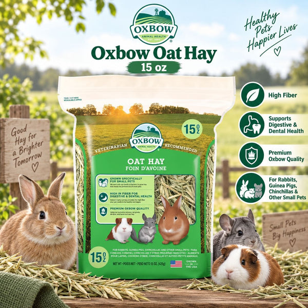 OXBOW Rumput Kelinci OAT Hay 400gr no type Tidak ada merek 