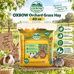 OXBOW Rumput Kelinci Orchard Grass hay 1.13kg no type Tidak ada merek 