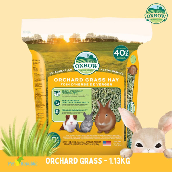 OXBOW Rumput Kelinci Orchard Grass hay 1.13kg no type Tidak ada merek 