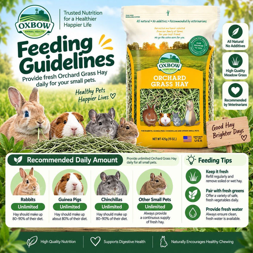 OXBOW Rumput Kelinci Orchard Grass hay 1.13kg no type Tidak ada merek 