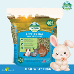 OXBOW Rumput Makanan Kelinci Alfalfa Hay 1,13kg no type Tidak ada merek 