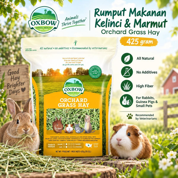 OXBOW Rumput Makanan Kelinci Marmut ORCHARD Grass 425gram no type Tidak ada merek 