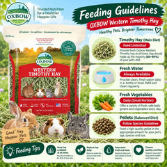 OXBOW Rumput Makanan Kelinci WESTERN Timothy Hay 425gram no type Tidak ada merek 