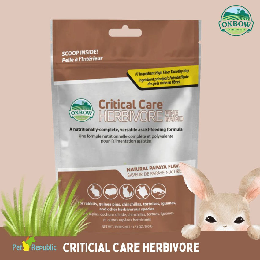 OXBOW Supplement Critical Care Fine Grid 100g no type Tidak ada merek 