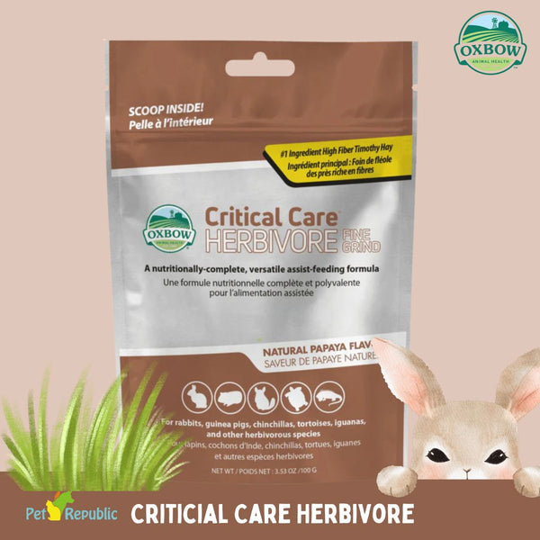 OXBOW Supplement Critical Care Fine Grid 100g no type Tidak ada merek 