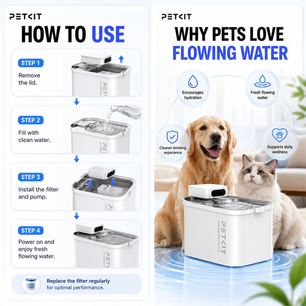 PETKIT Drinking Fountain Eversweet Max Cordless UVC Pet Drinking NoBrand 