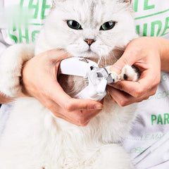 PETKIT Gunting Kuku Anjing Kucing LED Nail Clipper no type Tidak ada merek 