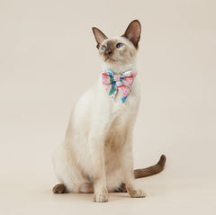 PETKIT Kalung Hewan Bow Tie Collar Candy Pet Collar and Leash Petkit 