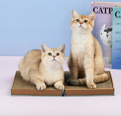 PETKIT Mainan Kucing Catpedia Scratcher Blue no type Tidak ada merek 