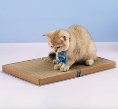 PETKIT Mainan Kucing Catpedia Scratcher Blue no type Tidak ada merek 