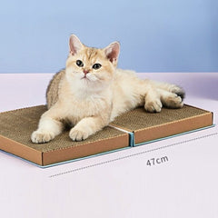 PETKIT Mainan Kucing Catpedia Scratcher Blue no type Tidak ada merek 