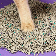 PETKIT Pasir Kucing 5 in 1 Mixed Cat Litter 7L no type Tidak ada merek 