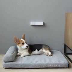 PETKIT Pet Bed DEEP SLEEP Mattress Medium no type Tidak ada merek 