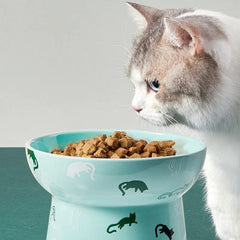 PETKIT Tempat Makan Ceramic Bowl Light Green no type Petkit 