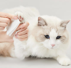 PETKIT Tissue Basah Antibacterial Wet Wipes 80pcs Hobi & Koleksi > Perawatan Hewan > Grooming Hewan PETKIT 