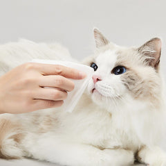 PETKIT Tissue Basah Antibacterial Wet Wipes 80pcs Hobi & Koleksi > Perawatan Hewan > Grooming Hewan PETKIT 